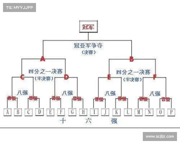 横琴国际武术散打公开赛采用单败淘汰制设立专业与业余组分级竞赛 横琴国际武术散打公开赛采用单败淘汰制设立专业与业余组分级竞赛